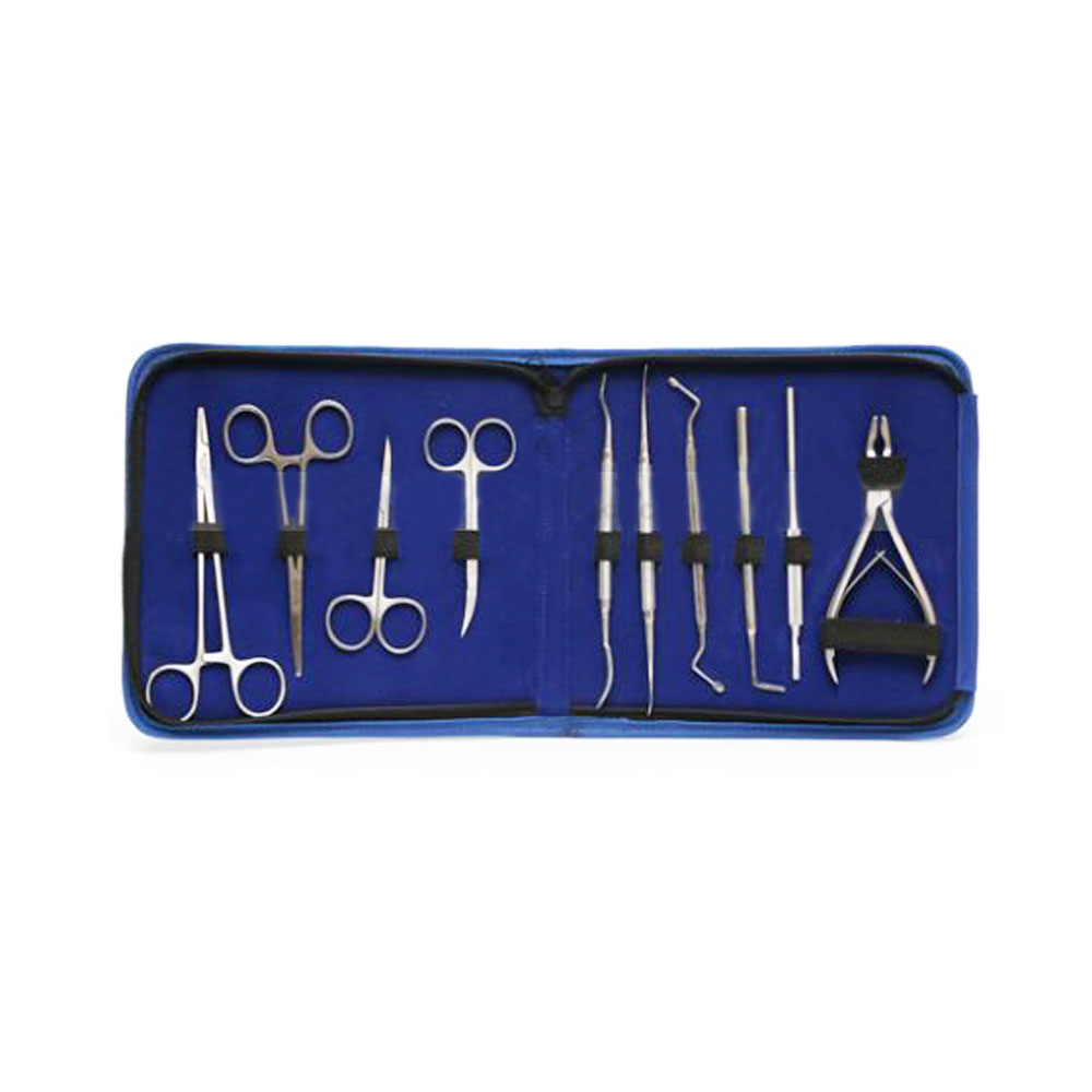 Buy API ORAL SURGERY KIT (set Of 10) Online at Best Price