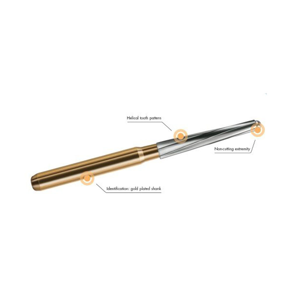 endo z dentsply