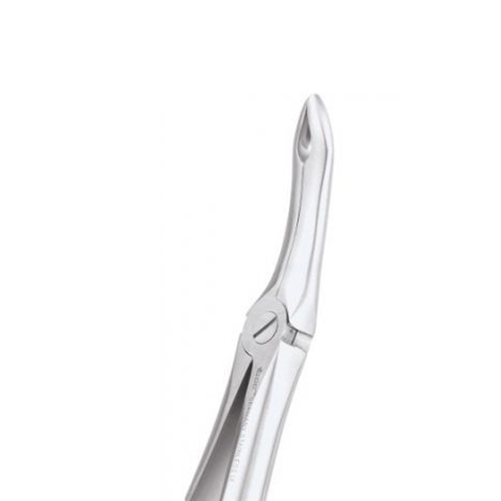 Buy GDC Extraction Forceps Upper Roots 44 Premium (FX44P) Online at