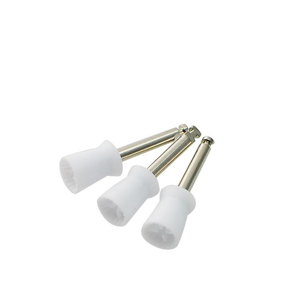 Buy ORO Prophy Cups Online at Best Price