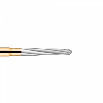 endo z dentsply