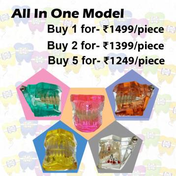 ALL IN ONE MODEL BULK OFFER