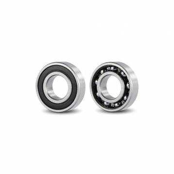 DENEXT CERAMIC BEARING FOR AIROATOR