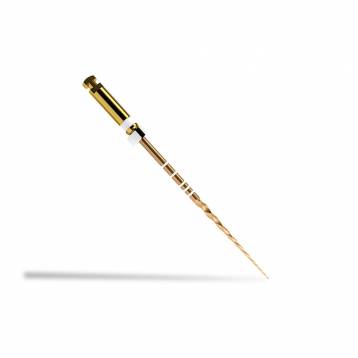 Dentsply Protaper Shaping File X (Sx) 19Mm - Rotary Golden
