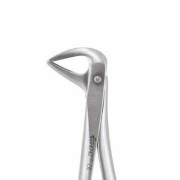GDC Extraction Forceps Standard