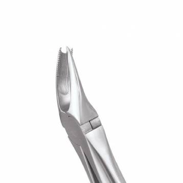 GDC Extraction Forceps Upper Molar Right Premium Cowhorn- FX89P