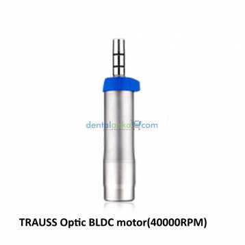 Saeshin TRAUSS BLDC motor only