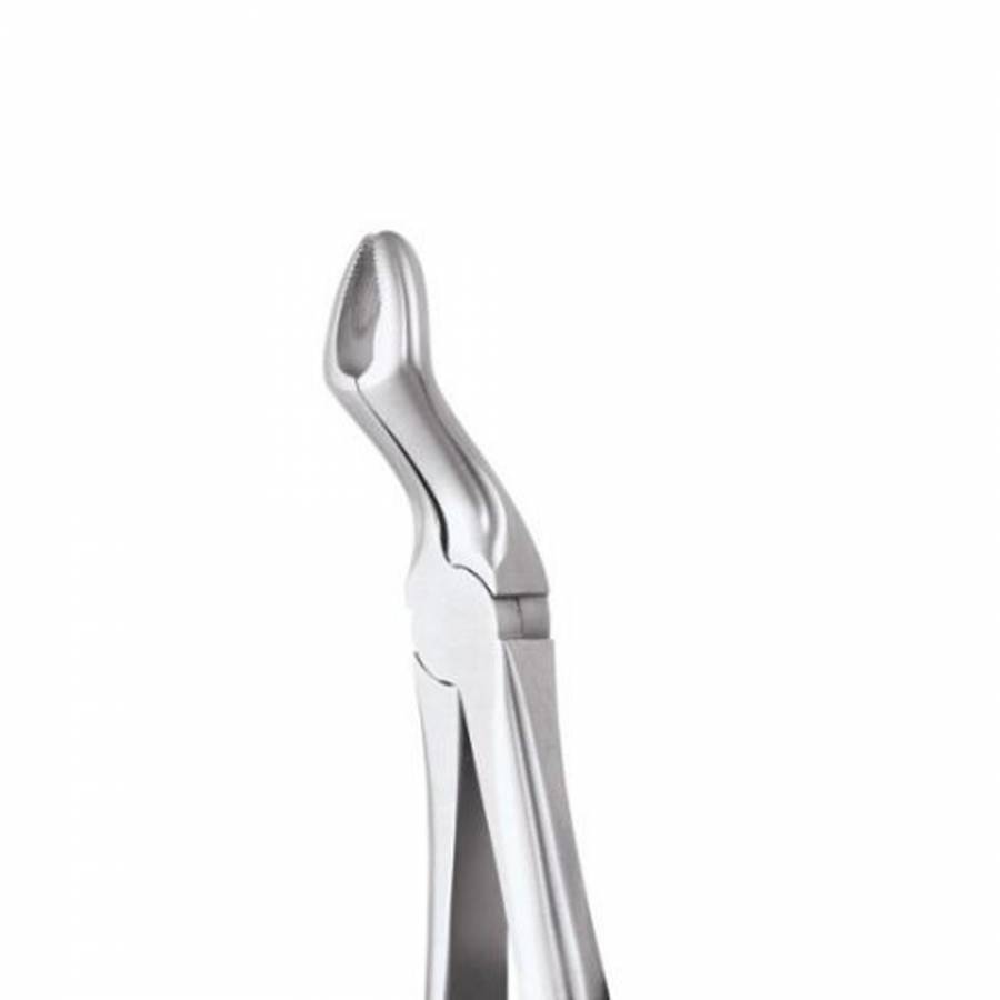Buy GDC Extraction Forceps Upper Third Molars 67a Premium (Fx67ap
